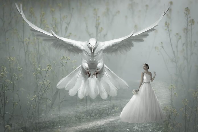 Bible Verses About Holy Spirit