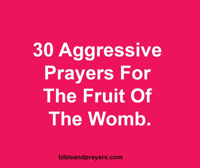 30 Aggressive Prayers For The Fruit Of The Womb.