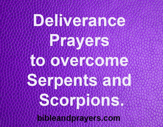 Deliverance Prayers to overcome Serpents and Scorpions.