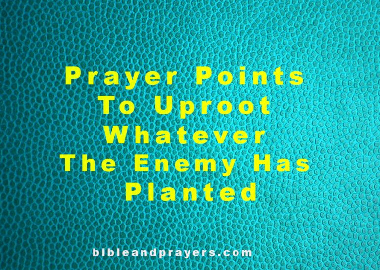 Prayer Points To Uproot Whatever The Enemy Has Planted