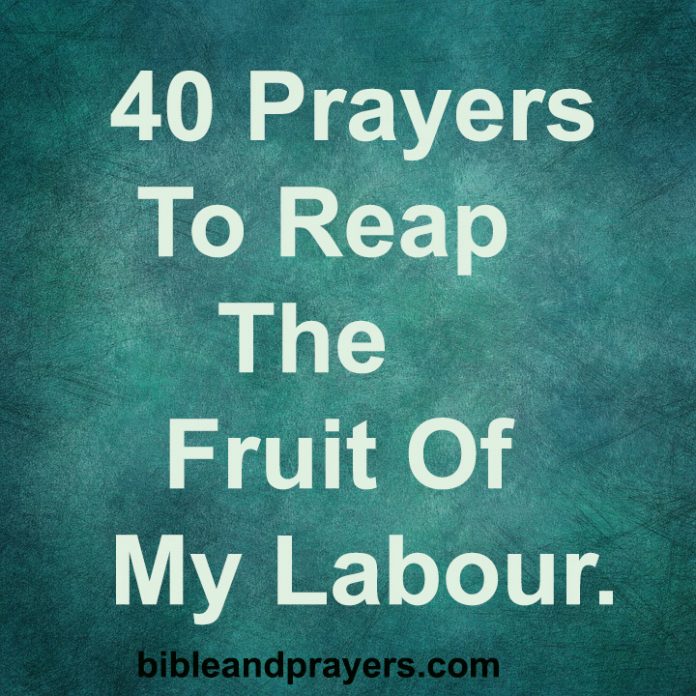 40 Prayers To Reap The Fruit Of My Labour.