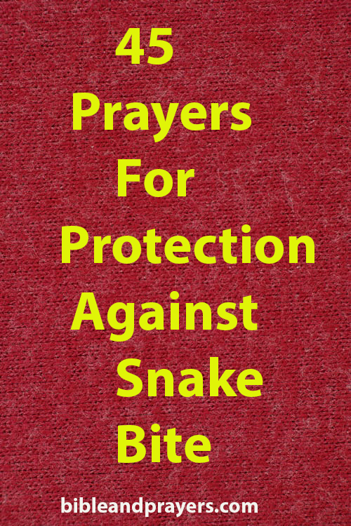 45 Prayers For Protection Against Snake Bite