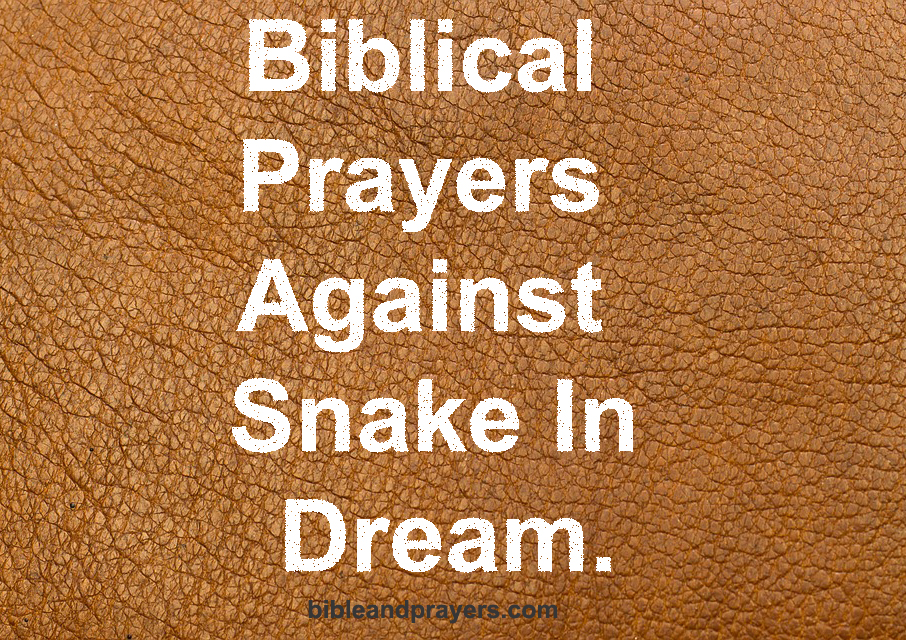 Biblical Prayers Against Snake In Dream.
