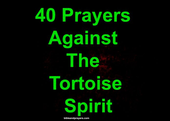 40 Prayers Against The Tortoise Spirit