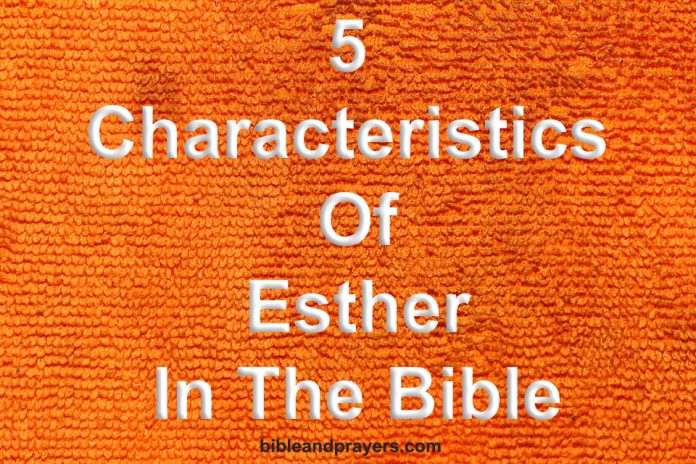 5 Characteristics Of Esther In The Bible