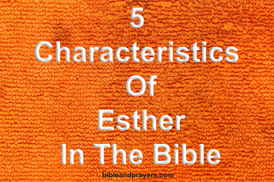 5 Characteristics Of Esther In The Bible