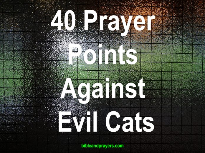 40 Prayer Points Against Evil Cats
