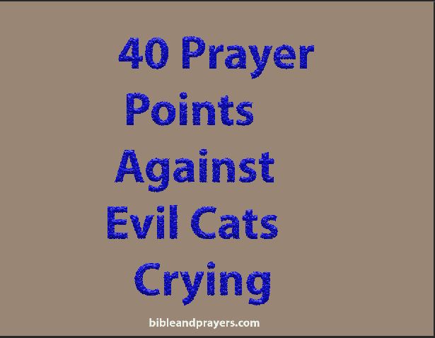40 prayer points against evil cats crying