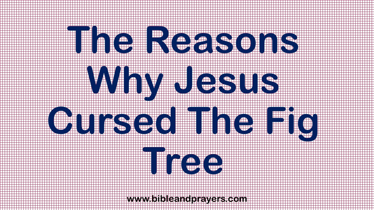 The Reasons Why Jesus Cursed The Fig Tree