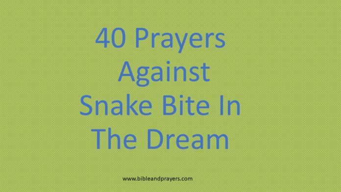 40 Prayers Against Snake Bite In The Dream