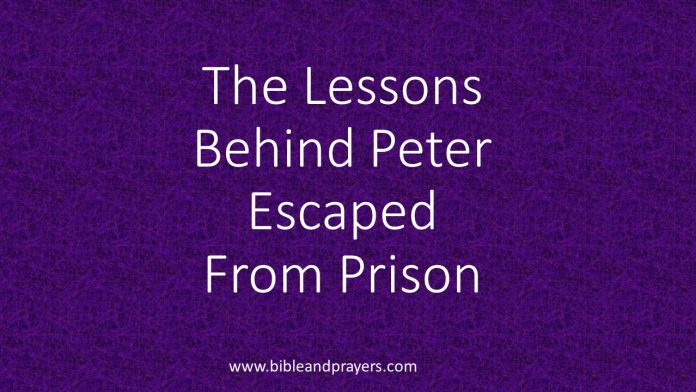 The Lessons Behind Peter Escaped From Prison